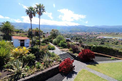 Apartamentos Miranda - image 4