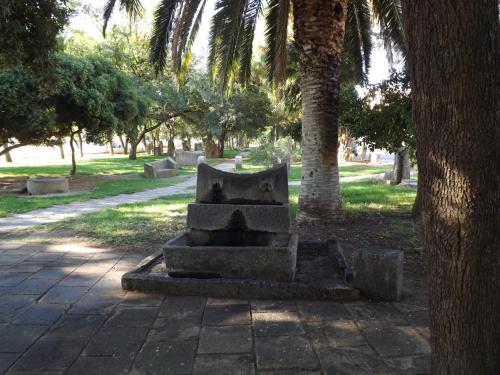 Hotel Sagittario - image 10