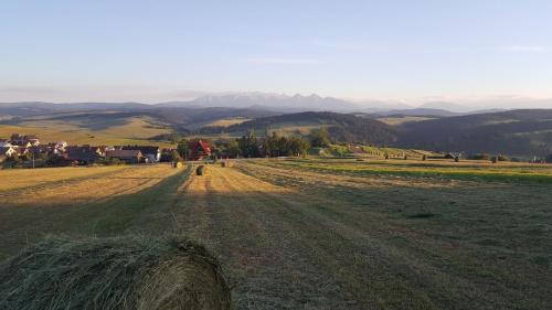 Pokoje u Pitera obrázok