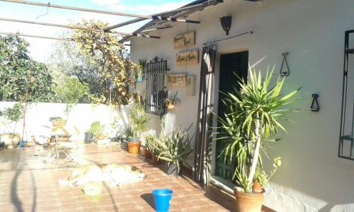  Alojamiento Rural Luís y María, Pension in Villanueva de Algaidas bei El Tejar