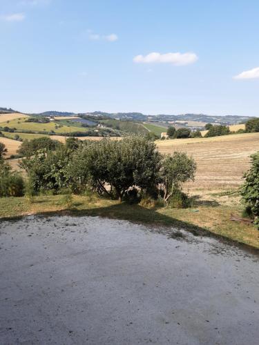  Fonte la Perna in Polverigi