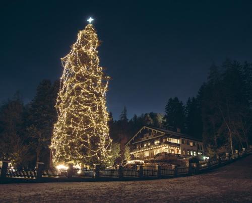 Hotel Sonnenheim - image 10