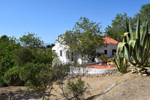 Exterior view, Algarve booking Casa Alfarrobeira Benagil Caves private parking airco heated private pool - AL in Salicos