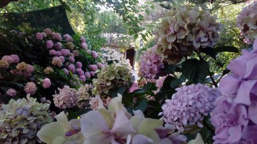  Villa Nikolas in Lefkada