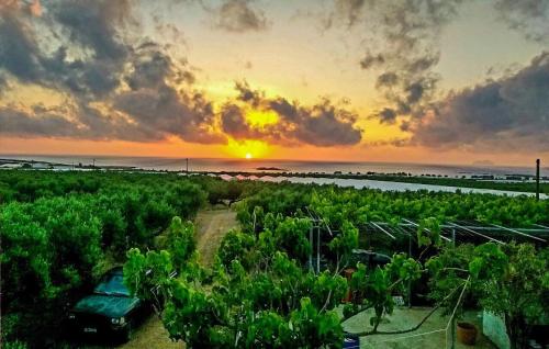 Pause Serenity House into Olive Groves gîte à louer Limenískos