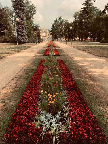 Apartman Kryštof - image 12