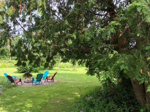 Pine Trees View Bungalow