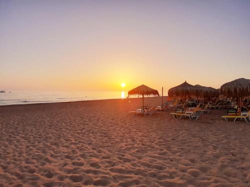  charis apartment in Zakharo