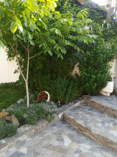 Guest House Elizaveta - image 8