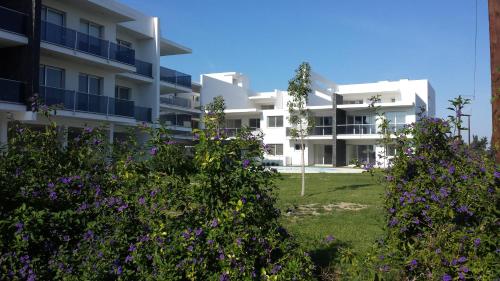 Kiti Gardens 107