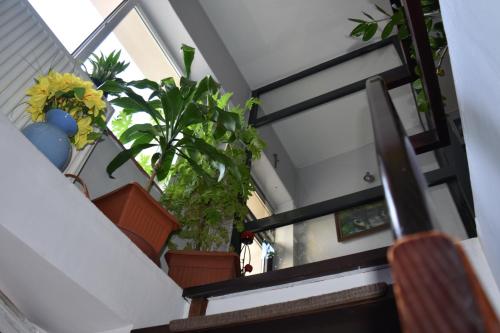 Baltic Hostel 5