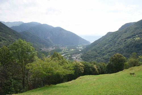 Hotel Antico - image 12