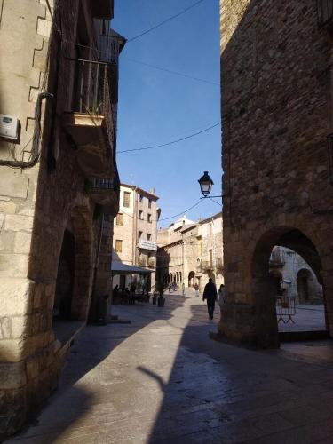 A környék, APARTAMENT CAN MINGU 1er pis in Besalu