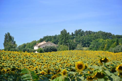 LE PIUME B&B chambre d'hôte Molino Paolini