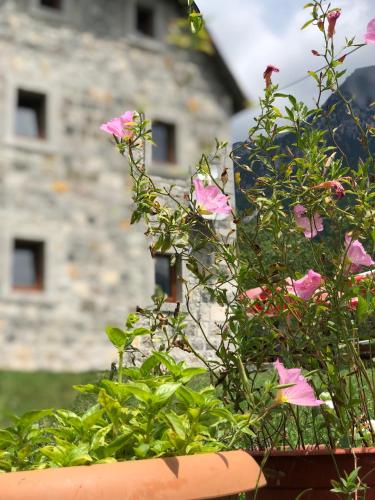 Molla Guest House - image 2