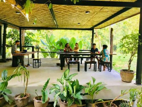 %name Khaosok Rimtarn Poshtel เขาสก (สุราษฎร์ธานี)