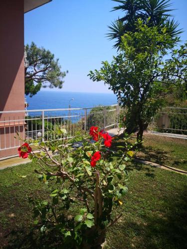 Punta Sole, VISTA MARE, Con giardino privato, PARCHEGGIO PRIVATO GRATIS