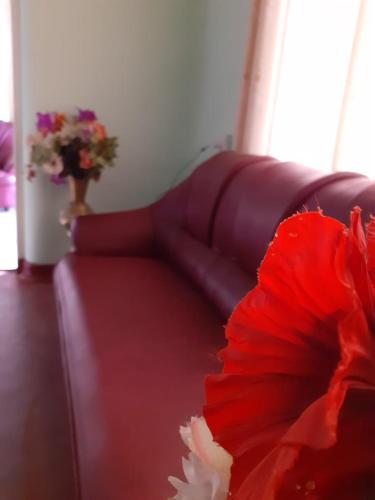 Umaya Rest Inn photo