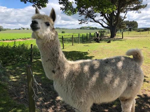 Sandhill House in Troon