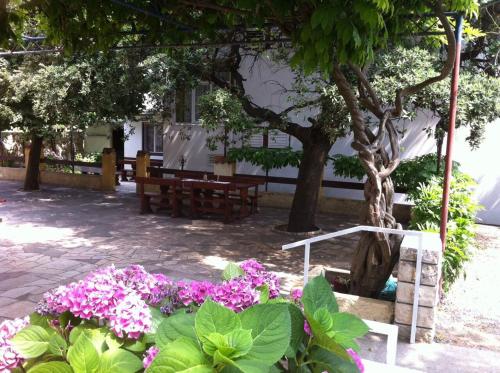  Guesthouse Mimas in Rab