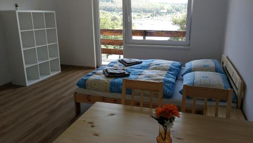 Apartmány Orlík - Loužek