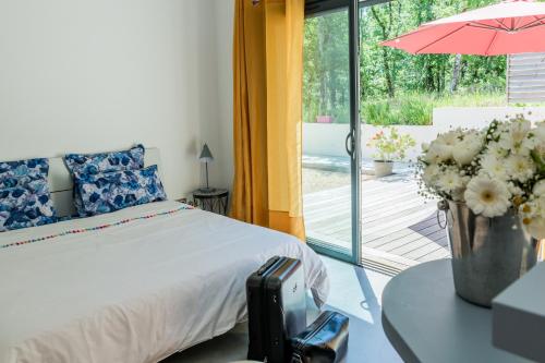 Sous Les oliviers - Studios climatisés - charming B&B - image 12