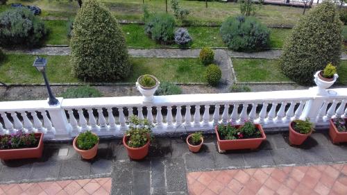 Villa Belvedere - image 10