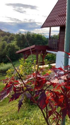  Holiday home Wagner in Veliko Trgovišće