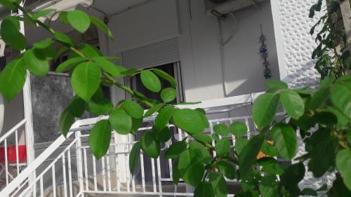  Friends Apartment in Peraia