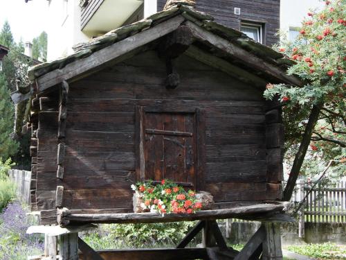 Matterhorngruss Apartments - image 9