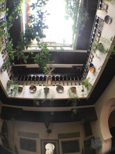 Riad Bahia