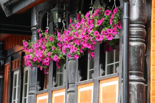 Sølvgarden Cottages - image 9
