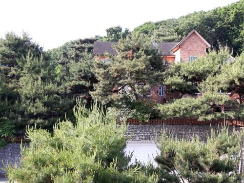 Accommodation in Yongin