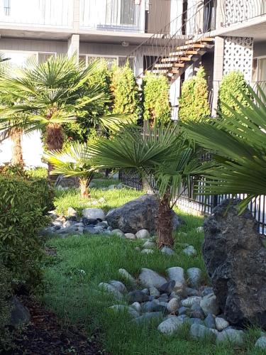 Port-O-Call Inn - Accommodation - Nanaimo