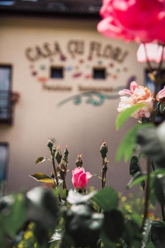 Pensiunea Casa Cu Flori Dj Cisnadie Cisnadioara Agnita Sibiu