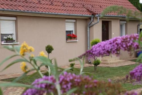Exterior view, Silentium Garden Apartman Sarvar in Sarvar