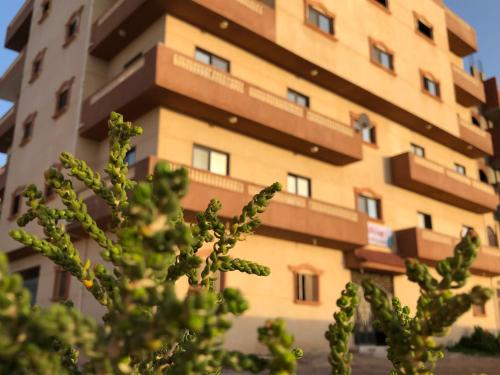 بيت العز للشقق الفندقية - علم الروم Bet Elezz Apartments-Alam Elrom, Marsa Matruh (Foto 6)