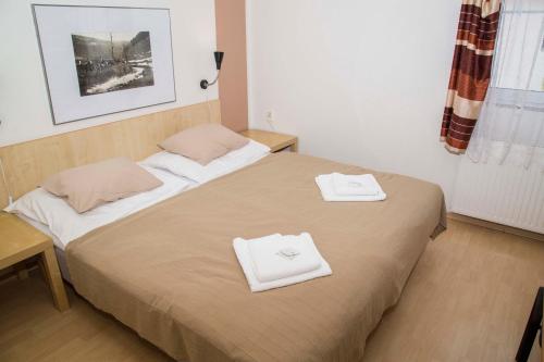 hotel U lip Trojanovice in Trojanovice