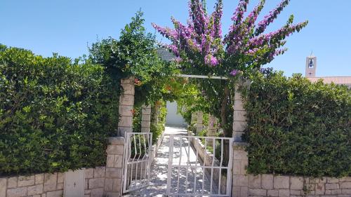  Apartman LUCIJA in Korčula