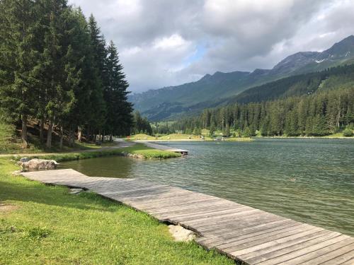 Ferienwohnung Lenzerheide - Lain