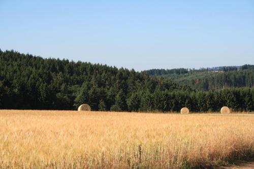 Eifelcottage - image 12