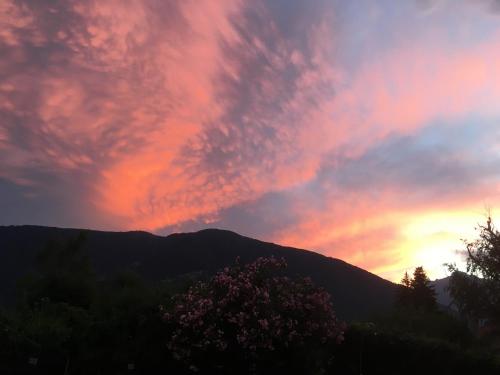 Residence Bichler - image 13