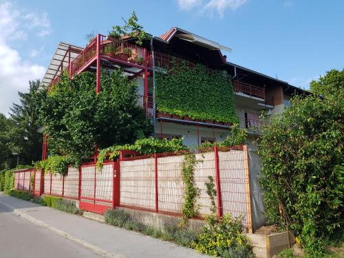 Ljubljana's terrace, Liubliana