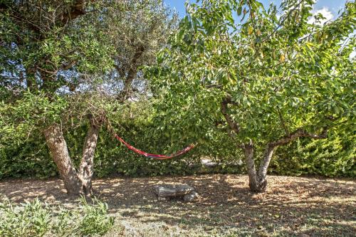 B&B Il Brigante 5