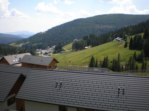 Almrauschhütte Markus - image 5