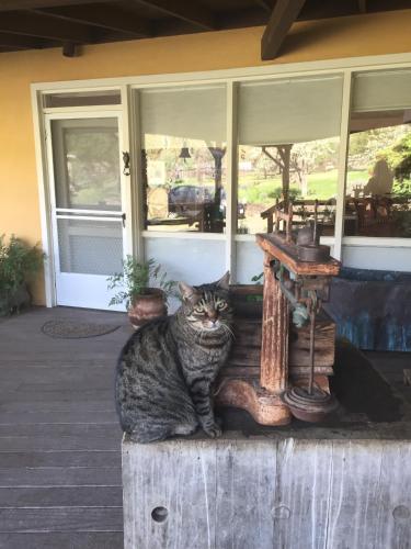 Rustridge Ranch & Winery - image 6