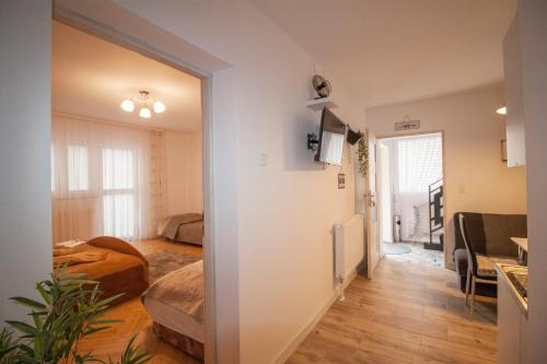 Apartamenty Bieszczady