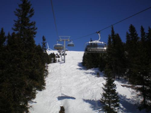  Almrauschhütte Markus in Lachtal