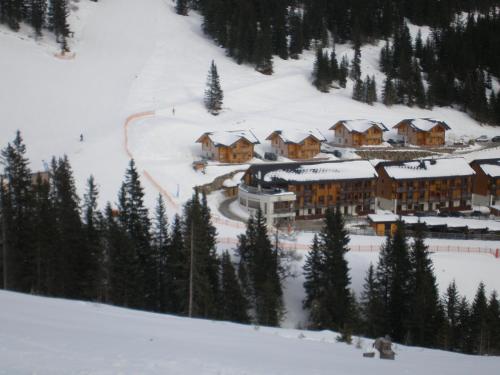 Almrauschhutte Markus in Lachtal