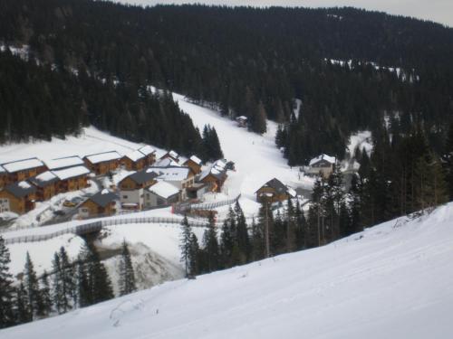 Almrauschhutte Markus in Lachtal